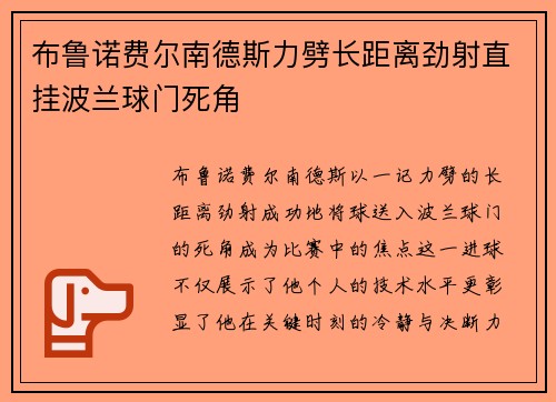 布鲁诺费尔南德斯力劈长距离劲射直挂波兰球门死角